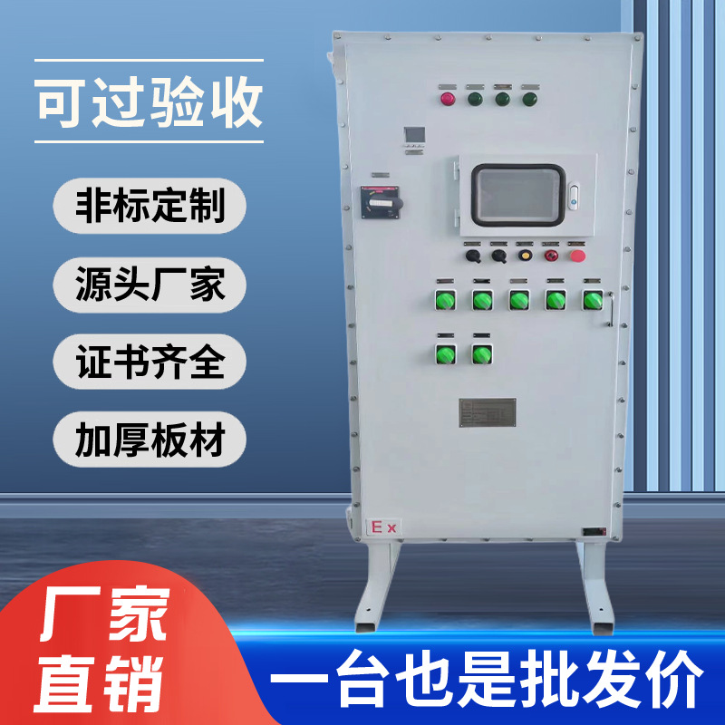 Explosion-proof lighting power distribution box maintenance flameproof stainless steel monitoring touch screen display operation column instrument box