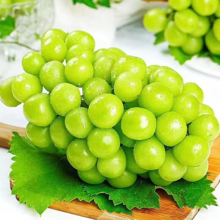 Shaanxi Sunshine Rose Grapes Are in Season, Freshly Picked and Shipped Immediately. Fresh Fruit, Qingwang Whole Bunches, Green Grape, Xiangyin Whole Box Wholesale