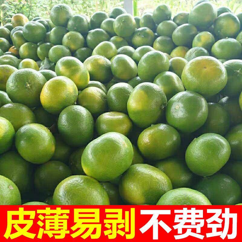 Freshly Picked Green-Skinned Tangerines, Fresh Oranges, Yichang Tangerines, Sweet and Sour Thin-Skinned Citrus Fruits for Pregnant Women, Early-Maturing Oranges Wholesale