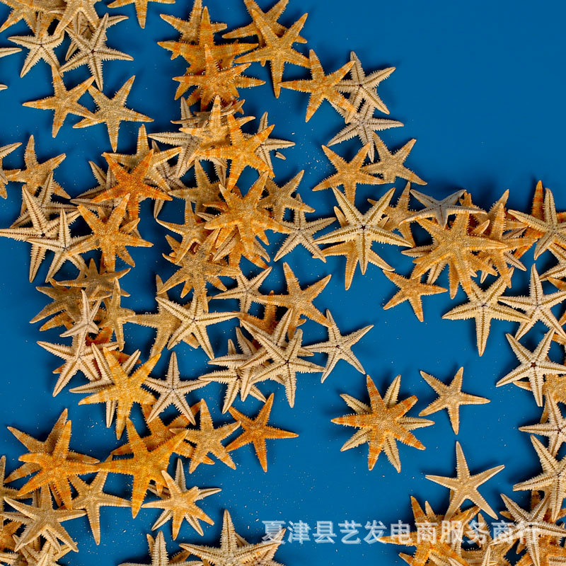 Натуральная звезда ракушка мини плоская звезда ручной работы DIY текстурная рамка кристаллический гель материал фотография