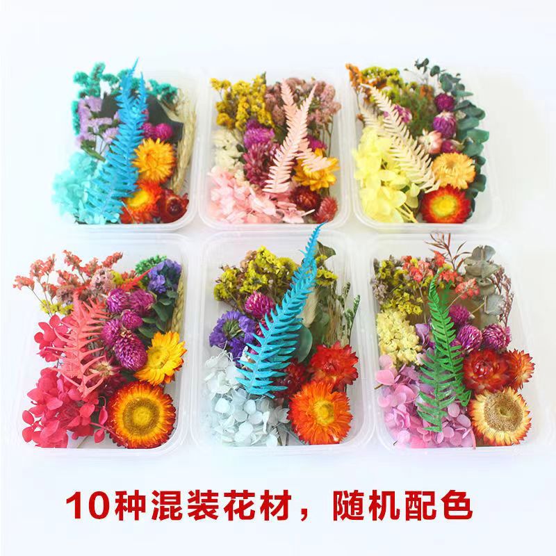 Mother's Day 520 Eternal Flower DIY Material Package Lunch Box Handmade Dried Flower Fan Photo Frame Creative Handmade Yunnan Wholesale