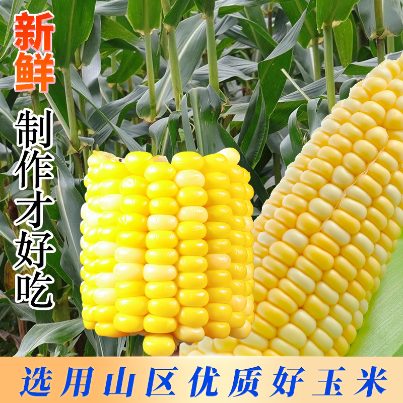 Сладкая кукуруза в вакуумной упаковке, готовая к употреблению, не вареная, низкокалорийная закуска для студентов