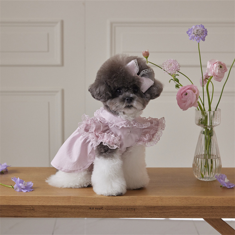 Pet Clothes for Dogs and Cats, Autumn and Winter Lace Flying Sleeves, Lady Dress Manufacturer, Small Teddy Bears