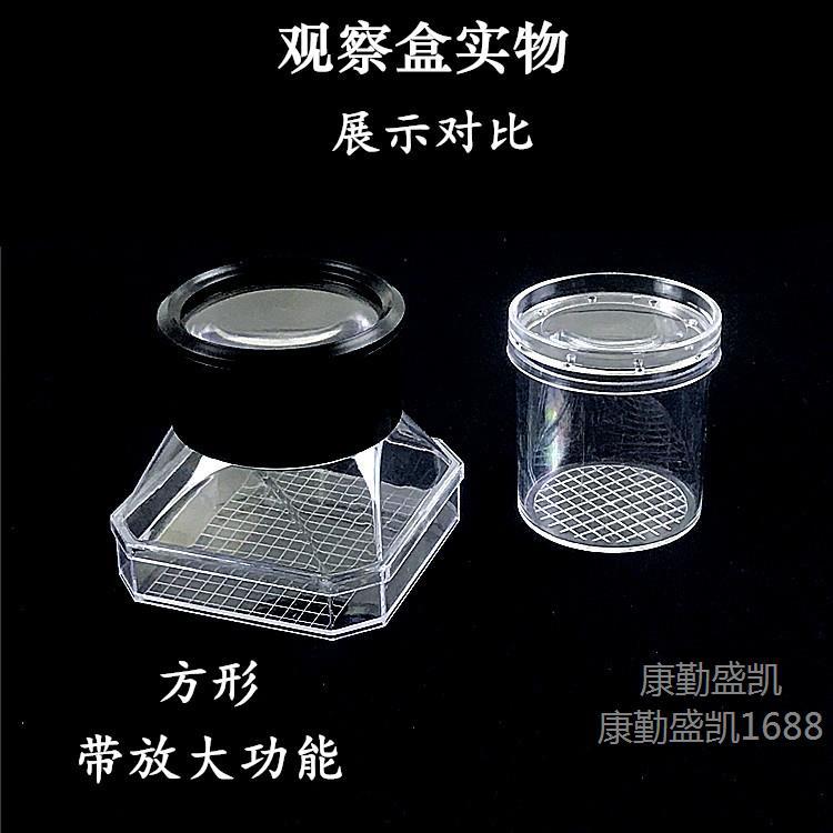Insect Observation Bottle/Breeding Bottle with 3X Magnification with Air Holes/Insect Specimen Hatching Box Shrimp Eggs