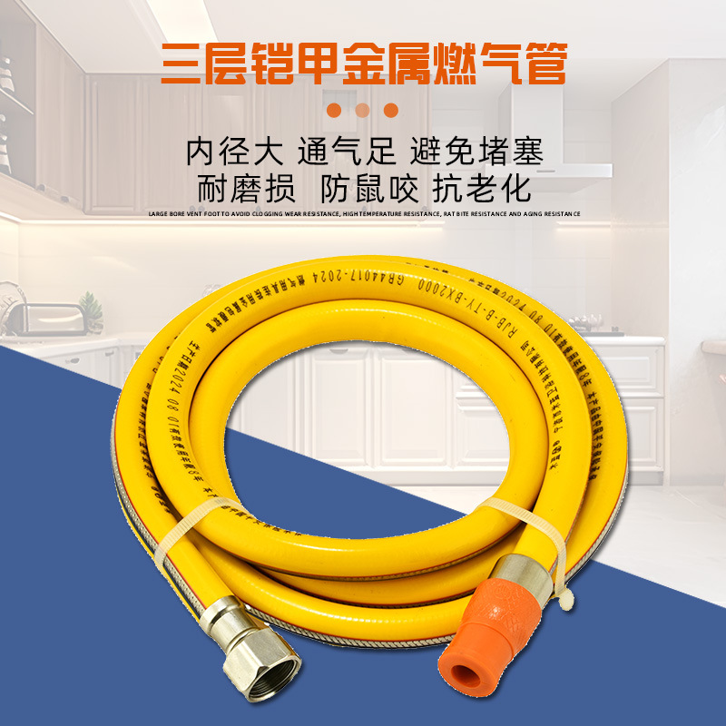 Wow Customized New National Standard 44017-2024 One Screw and One Plug Three-Layer Steel Wire Metal Liquefied Gas Connection Gas Pipe