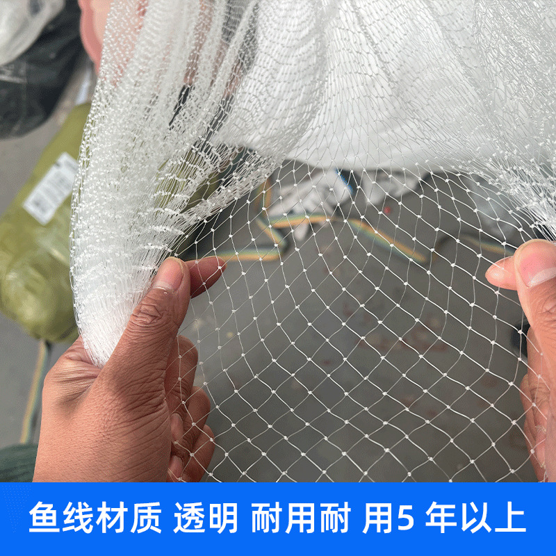 1 cm 1.0 Mesh Bird-Proof Net for Cherry Orchards, Greenhouses, Grapes, Loaches, Pear Trees, and Fruit Trees
