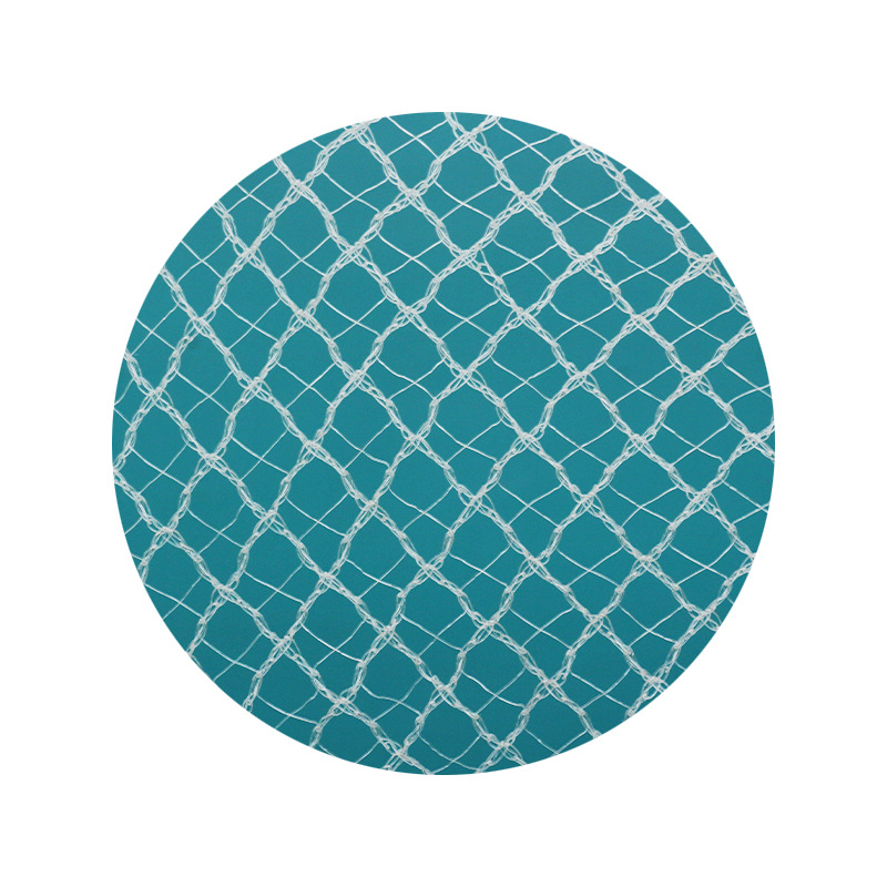 Cross Reinforced Anti-Hail Net Grape Cherry Orchard Anti-Hail Anti-Bird Net High Density Agricultural Protection Net