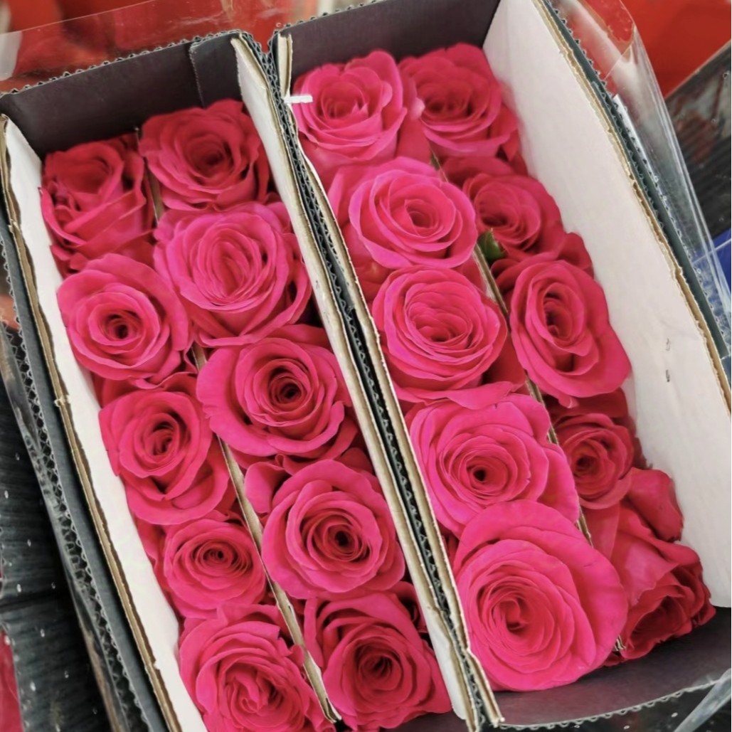 Freshly Picked Flowers from Yunnan, Direct Delivery Roses Wholesale for Home Use, Flower Shop Group Purchase, Bouquets for Stalls, Wedding Celebrations, Single Heads