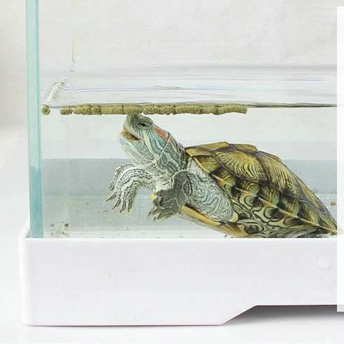Qu Taotao Brazilian Tortoise, Grass Turtle, Small Particle Turtle Food, Floating Water Plants, Calcium Supplement, Turtle Feed, Small Turtle Food Wholesale