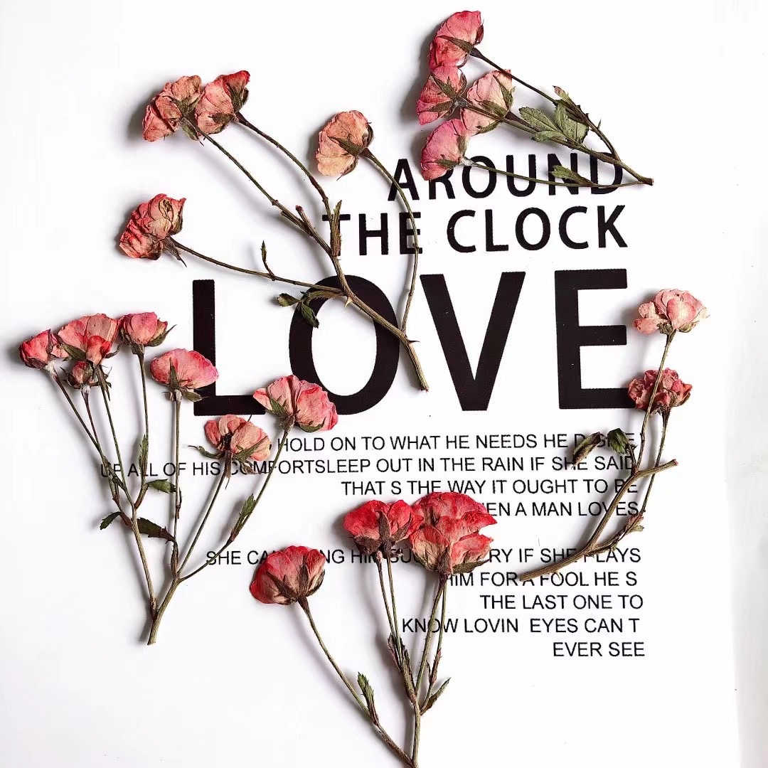 Multi-head Rose Dried Flower Embossed Drop of Glue Mobile Phone Case Candle Photo Frame Decoration Handmade Material Bag Plant Specimen