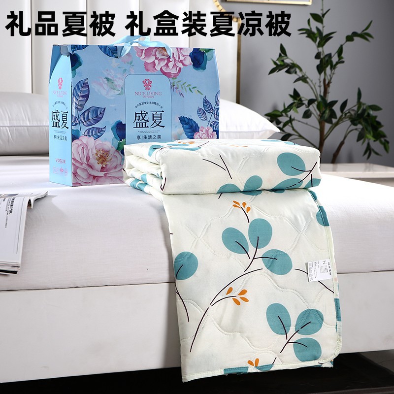 Summer Cool Quilt Gift Summer Quilt Gift Box Air Conditioning Quilt Opening Promotion Event Gift Quilt Export Single and Double Thin Quilt
