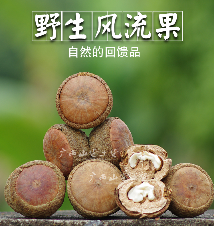 Guangxi's New Wild Wind Flow Fruit 500g with Skin, Original Fruit, Stone Fruit, Zhuangjia Yangqi Fruit, Men's Nourishing Fruit, Can Be Combined with Cynomorium