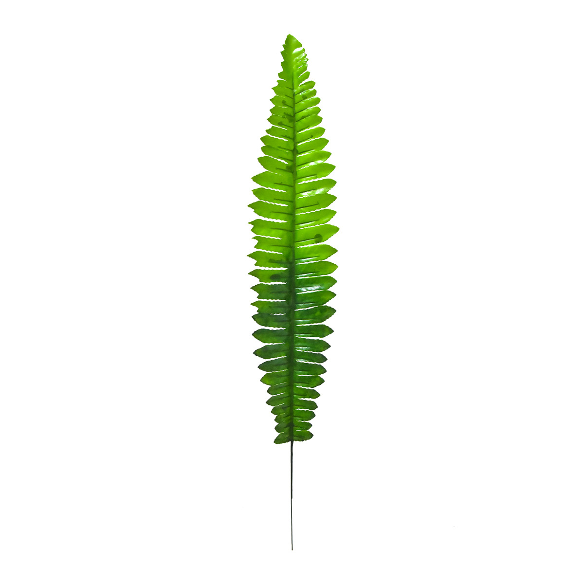 Simulation Monolithic Persian Fern Leaf Silk Cloth Fake Leaf Soft-fitting Engineering Plant Wall Landscape Shopping Mall Greening Decoration