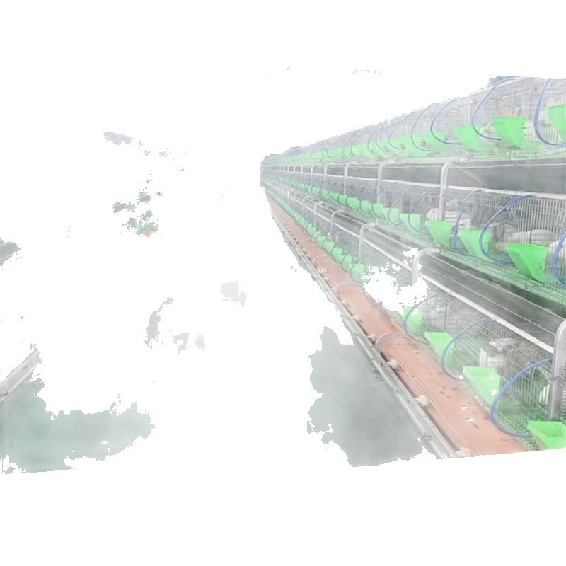 2-2.5kg Eight-Point Black Meat Rabbit Price Manufacturer Promotion High-Quality Ira Rabbit Breeding Rabbit Package Recycling Breeding Rabbit Wholesale