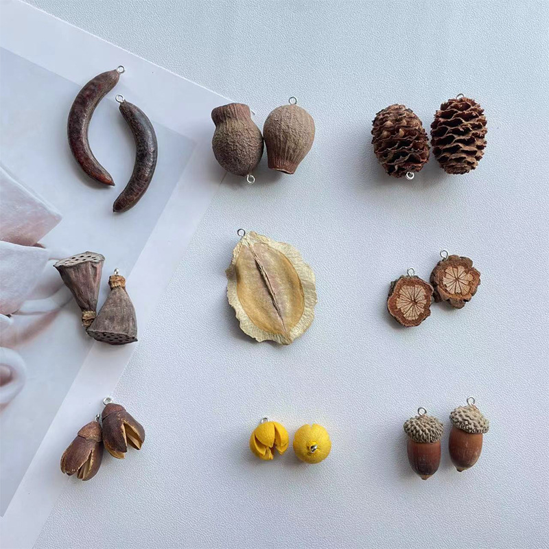 Handmade diy Fruit with Horn Nails, Natural Acorn Lotus Pod, Open Smile Plant Fruit, Creative Earrings, Bracelet Fruit
