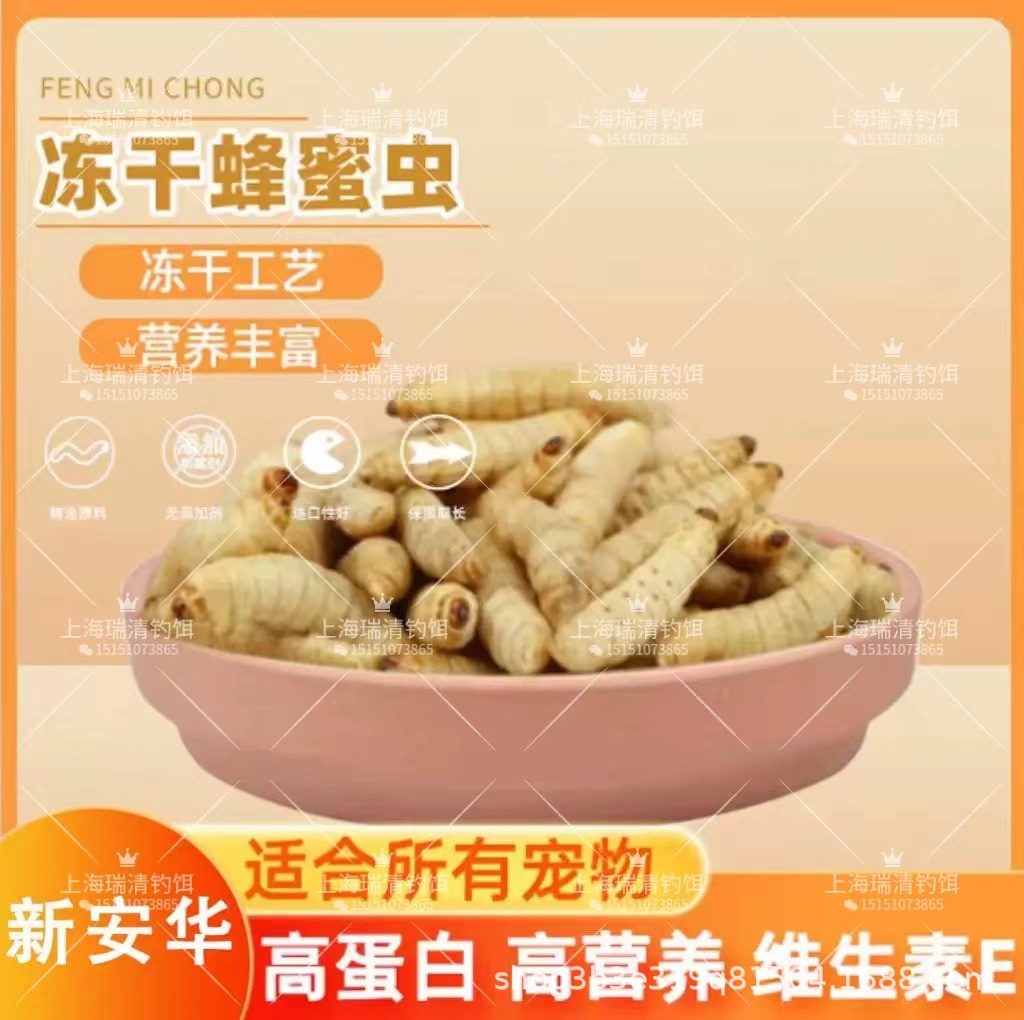 Small Size Freeze-Dried Honey Worm Grape Worm Corn Worm Free Shipping Bird Food Sugar Glider Embroidered Eye Hamster Feed Gecko Zero