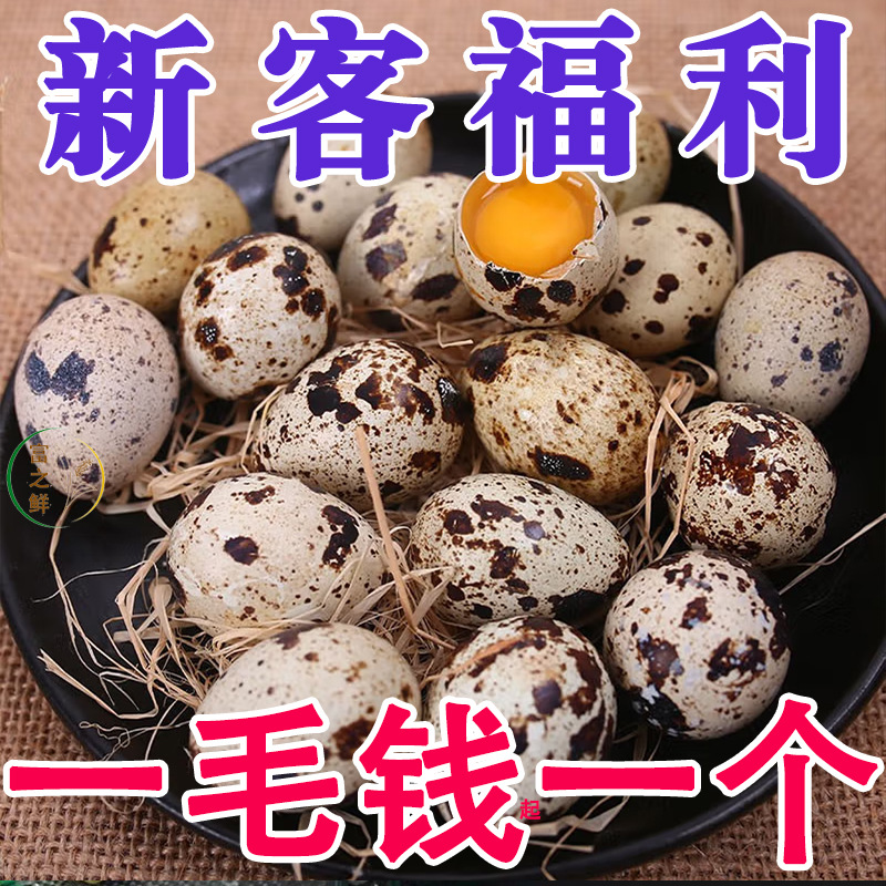 Свежие яйца перепелов и многозерновое кормление, 100 питательных и деликатесных яиц птицы, собранные и отправленные сейчас