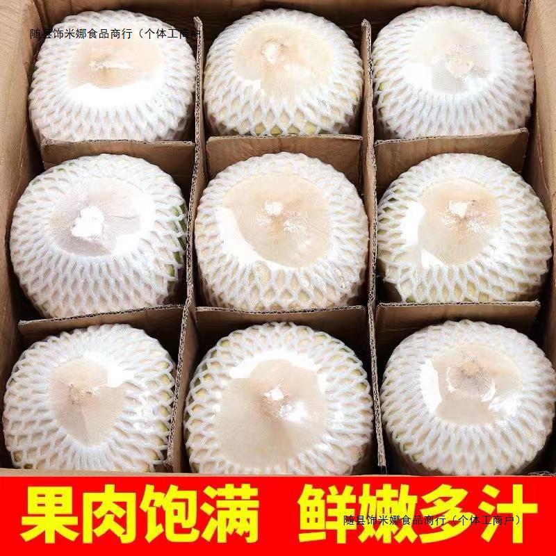 Hainan Coconut Green Fresh Coconut 2/4/6/9 Pack Seasonal Fruit for Pregnant Women Whole Box Specialty Wholesale Free Shipping