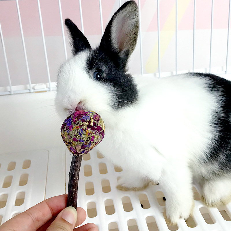 Rabbit Chew Sticks, Lollipop-Shaped Petal Chew Sticks, Grass Balls, Grass Cakes, Guinea Pig, Chinchilla, Apple Branch Chew Sticks, Chew Toys
