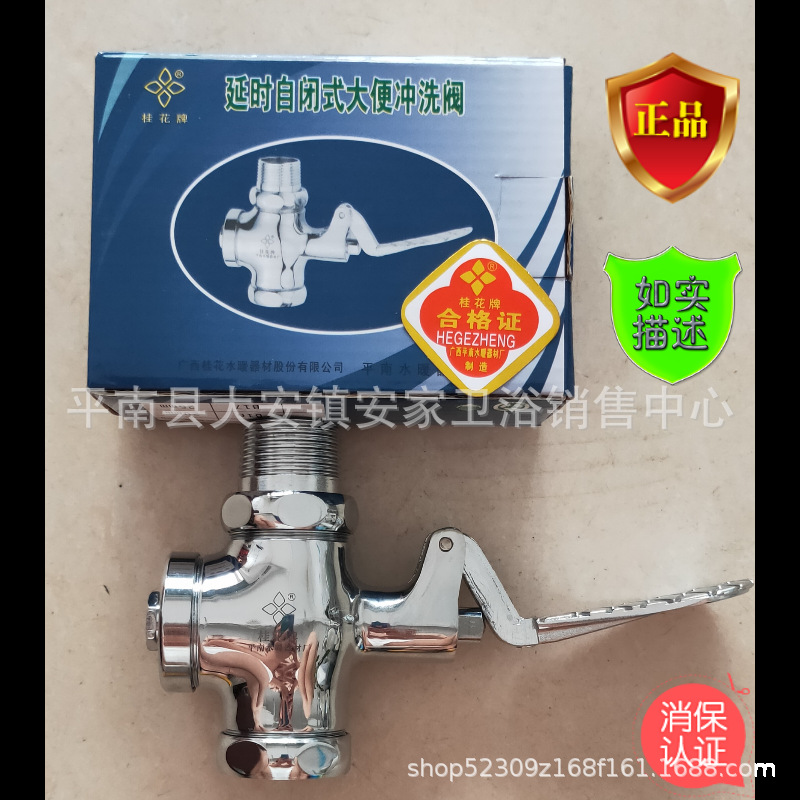 Brand Direct Selling B17 Guangxi Pingnan Guihua Brand All Copper Foot-operated Delay Stool Washing Valve DN25/DN20