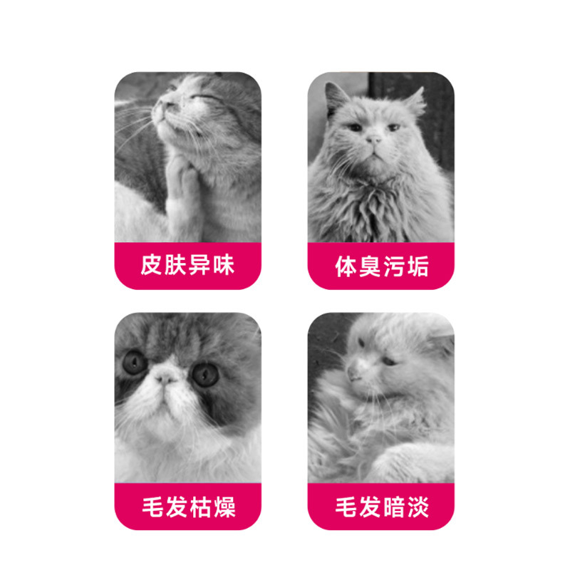 Special Bath Gel for Cats and Dogs Shampoo Deodorizing Puppet Bath Shampoo Bath Solution for Cats and Dogs