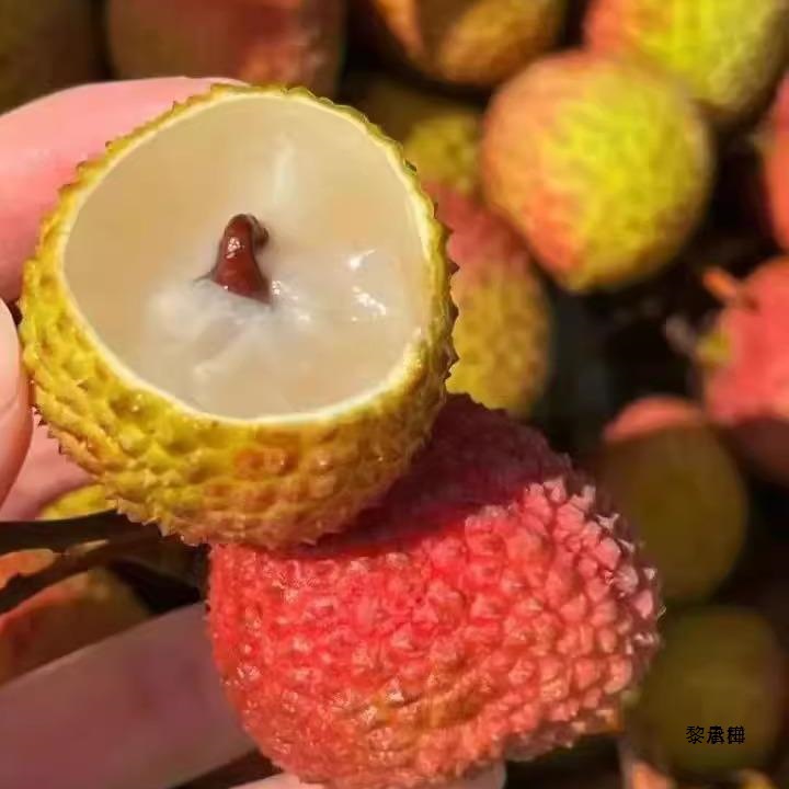 Frozen Sleeping Fresh Lychee Hainan Feizixiao Lychee Ultra-Low Temperature Frozen Locked Fresh Fruit Sf Free Shipping 0