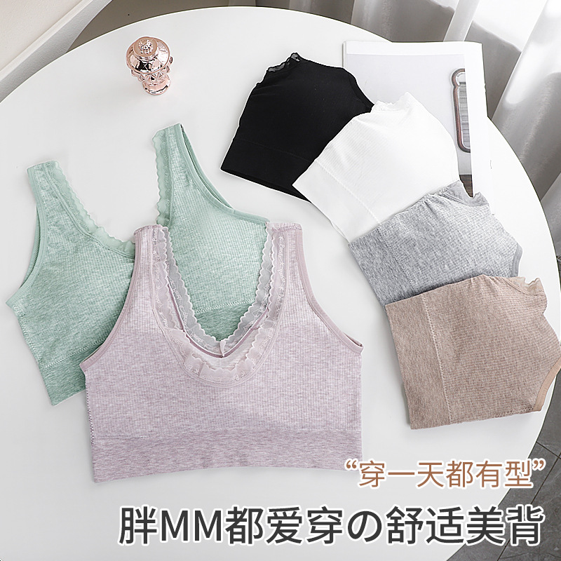 Cross-border Plus Size Non-rimmed Sexy Lace Chest Wrap Underwear Vest Style Backed Sports Beauty Back Bra with Chest Pad