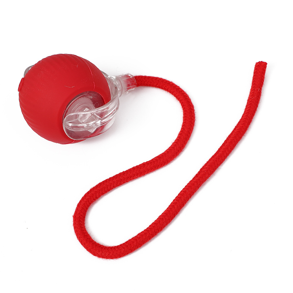 Cross-Border Pet Toy Ball, Cat Ball, Dog and Cat Self-Pleasure and Boredom Relief Artifact, Pet Toys, Pet Supplies, Cat Toys