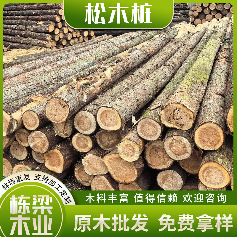 Pine wood log stake processing log piling fir wood stake greening reinforcement support rod flood control forest direct sales