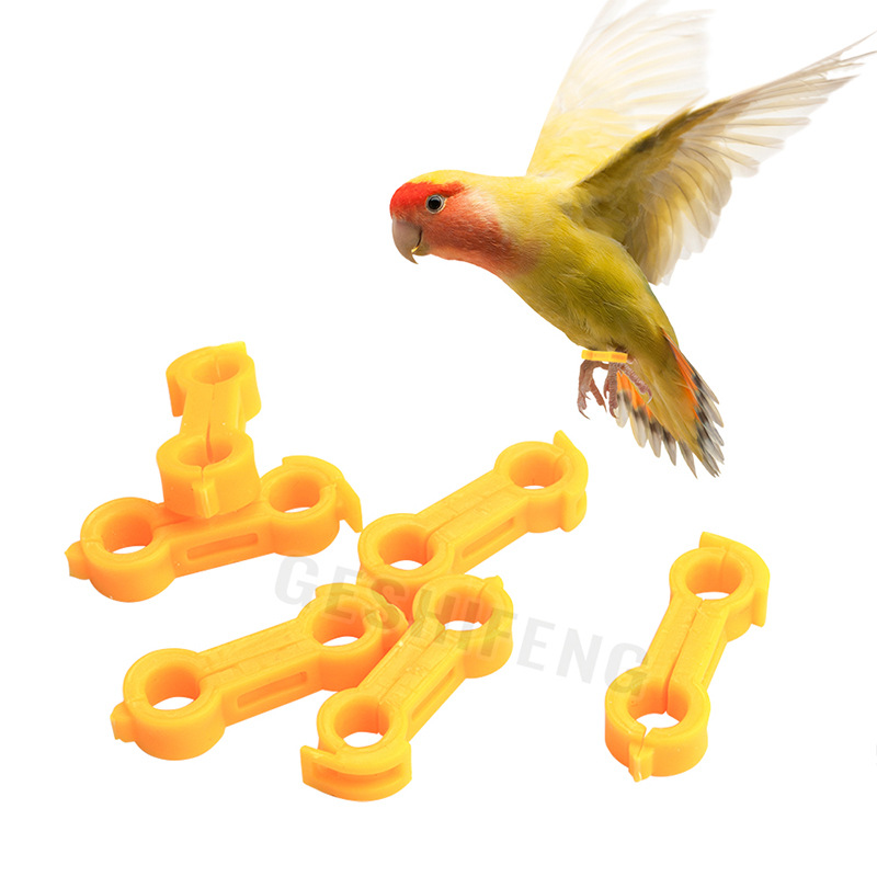 Корректор для попугаев корректор для расправленных ног птиц клип для фиксации реабилитации