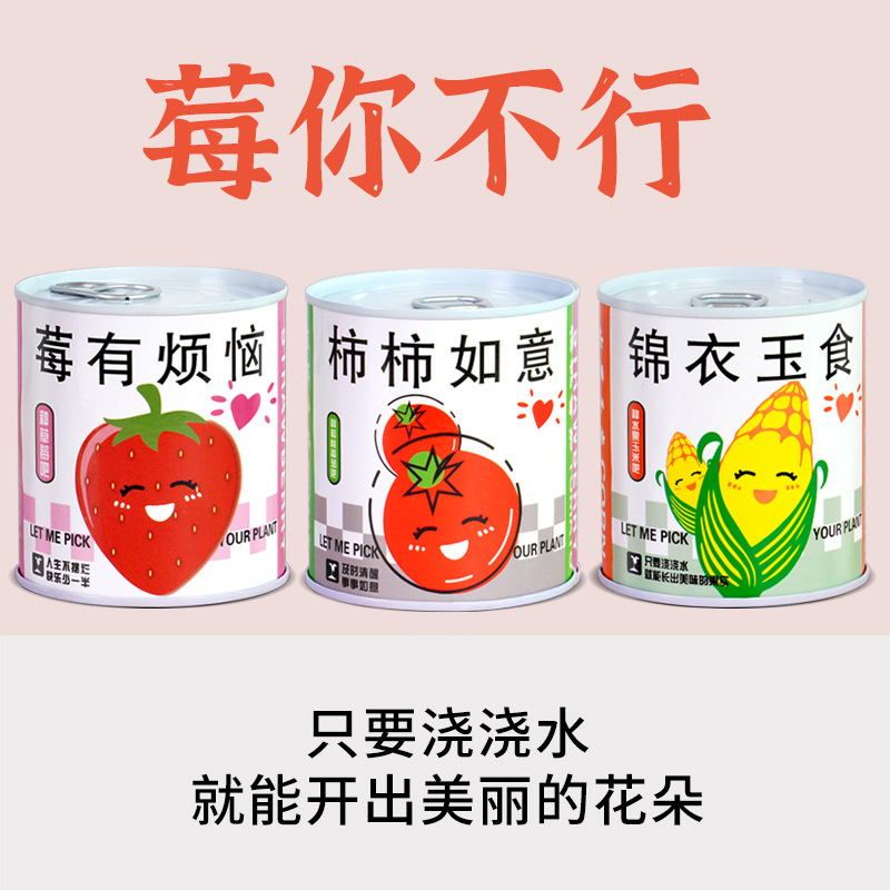 Children's Planting Can Potted Green Plants Blind Box Kindergarten Primary School Students Plant Growth Observation Germination Seeds