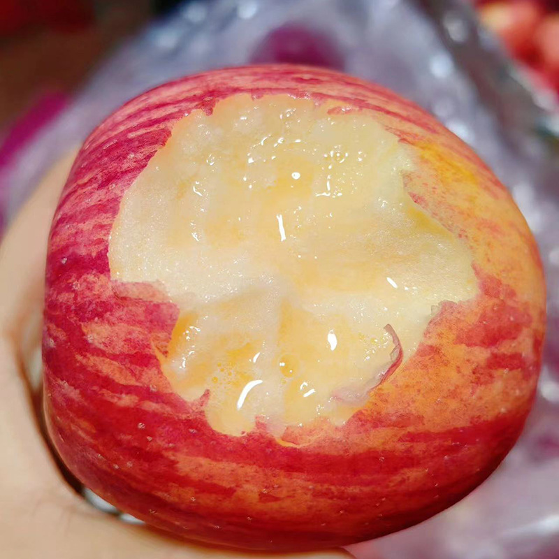 [Year-Round Supply] Shandong Yantai Qixia Red Fuji Apple Fresh Seasonal Fruit Wholesale Dropshipping