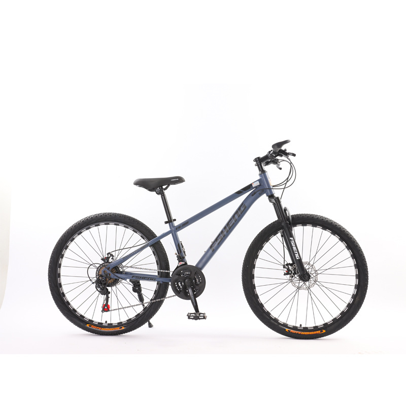 Factory wholesale Shanghai Phoenix wind mountain bike adult variable speed off-road 26/24 inch Bank gift