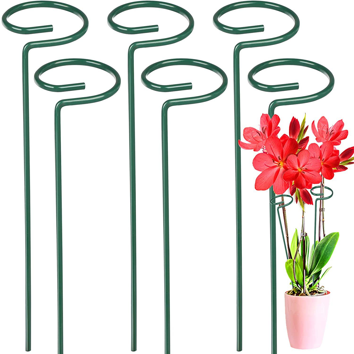 Plant Pile Pillar Metal Single Stem Plant Support Plant Support Pile Orchid Support Pile Plant Cage Support Ring