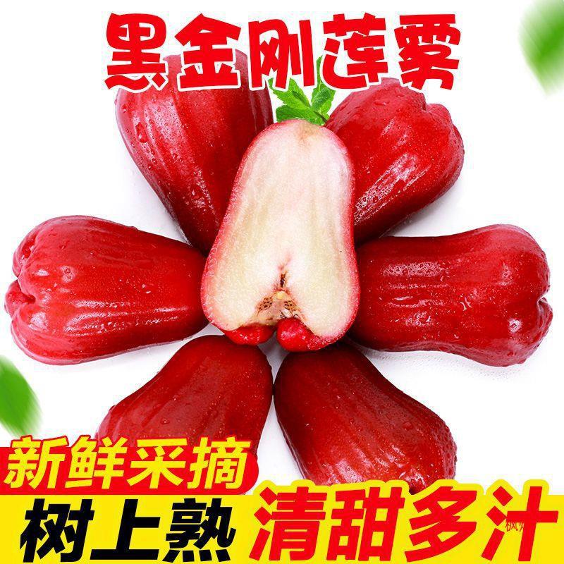 Hainan Black Diamond Lotus Mist Fresh Fruit Whole Box Lotus Mist Tropical Mist Seasonal Free Shipping Fairy Fruit for Pregnant Women