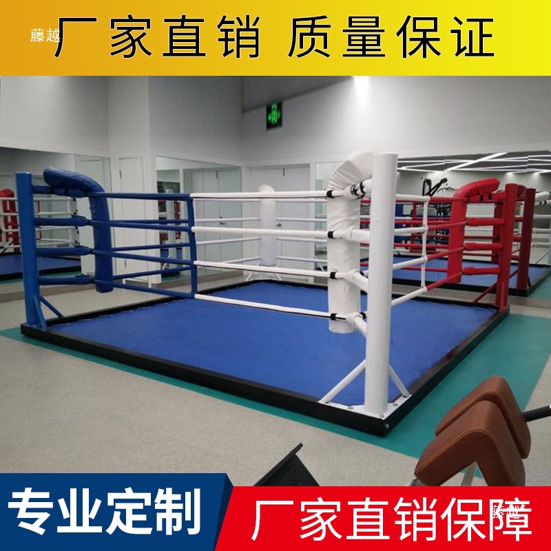 Floor-to-Floor Boxing Ring Wushu Sanda Training Ring Comprehensive Fighting Fence Standard Free Fighting Ring