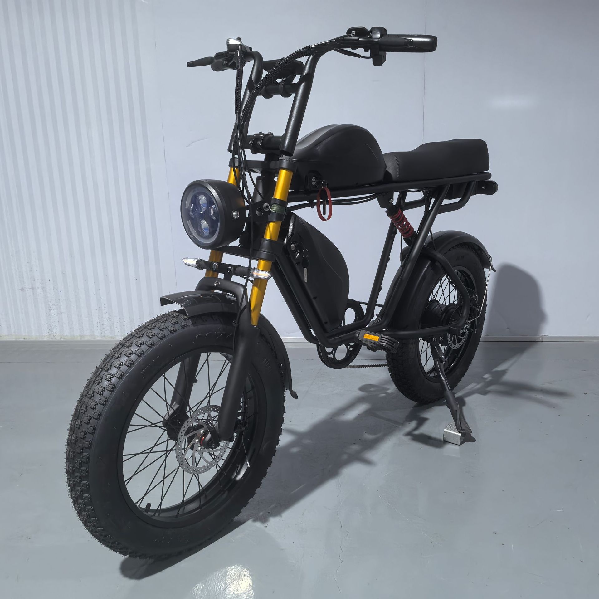 Manufacturer Batch 20inch Electric Bicycles, Snowmobiles, Wide Tires, Dual Battery Electric Assist Electric Motorcycles