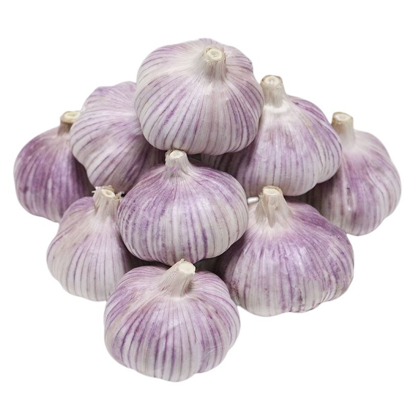 Shandong Jinxuang Purple-Skinned Garlic Dried Garlic 2.5kg Wholesale 2025 Fresh Garlic Bulbs 5kg Farm Garlic Seeds 1.5kg