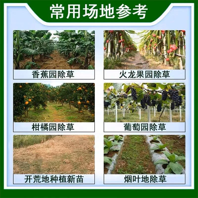 Orthophosphonic Acid Ammonium Salt for Cowpea Grass, Specialized Herbicide for Removing Rotten Roots, Genuine Herbicide for Orchards