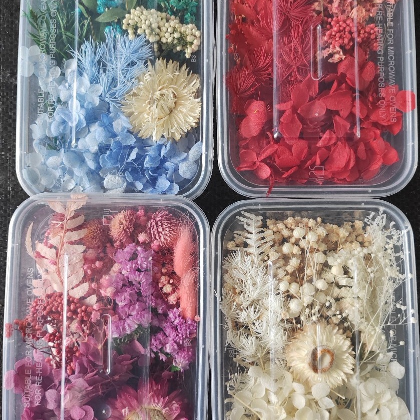 Floating Flower Dried Flower Immortal Flower Mother's Day 520 Gift DIY Fan Making Embossed Yunnan Dried Flower Wholesale