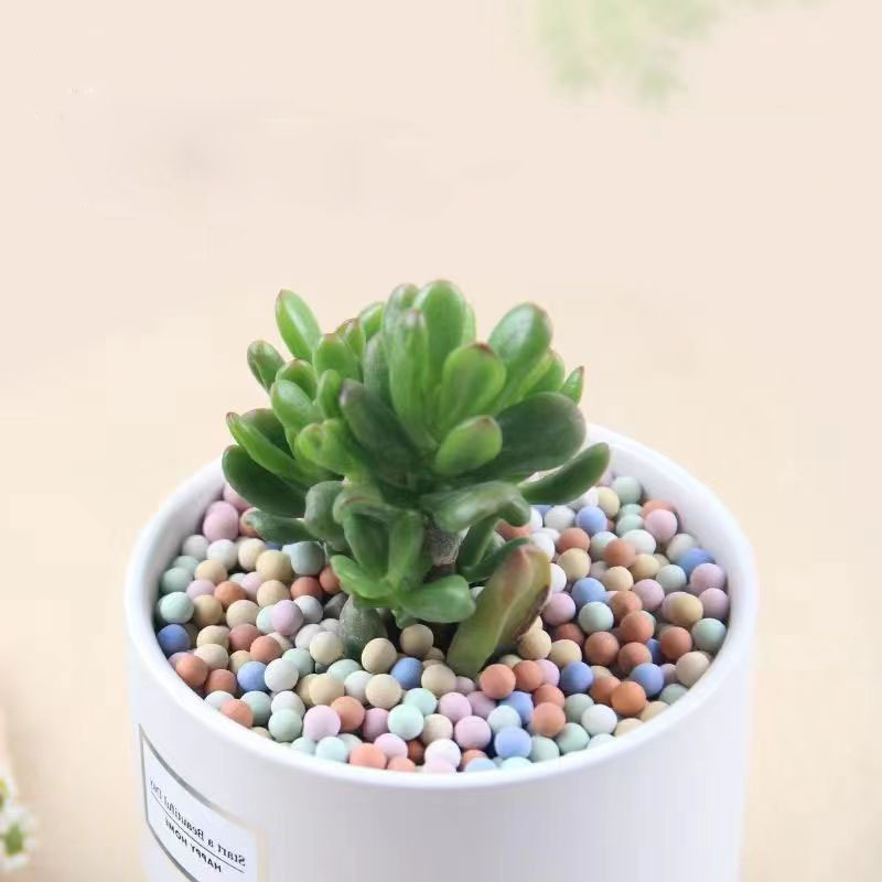 Wholesale Colorfuled Ceramsite, Mixed Ceramsite for Soilless Cultivation in Gardening, Ceramsite Ceramic Balls for Succulent Flower Paving