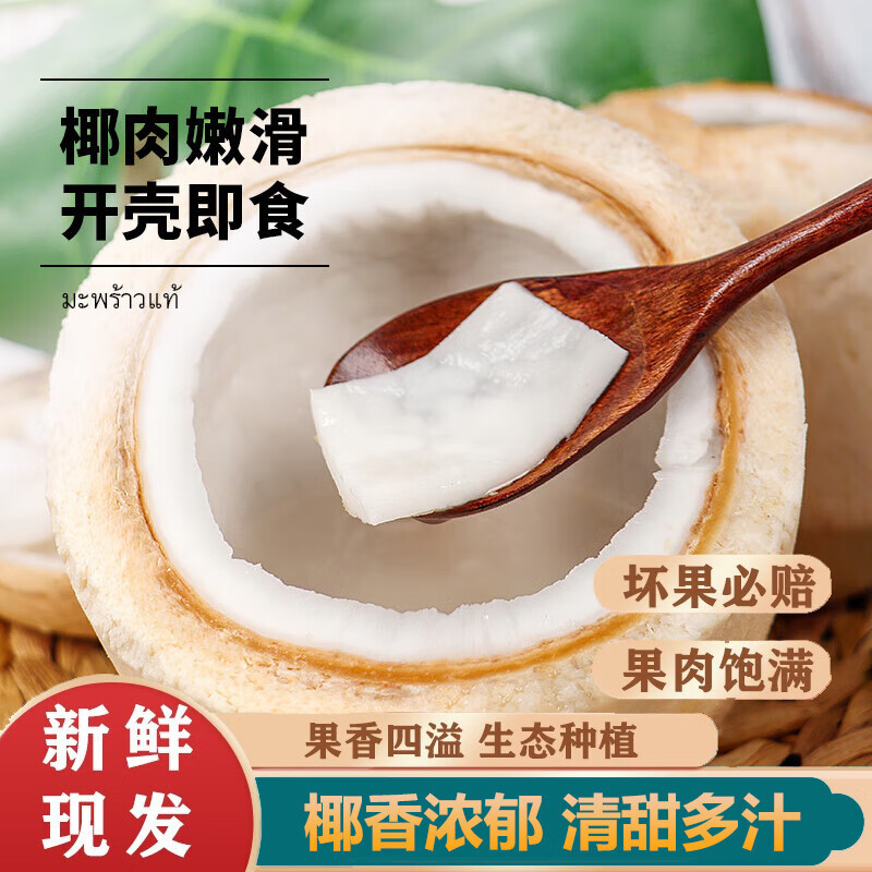 Thai Perfume Coconut Green Fresh Coconut Whole Box Peeled Pregnant Women Milk Coconut Extra Large Fruit Ready in Stock Free Shipping