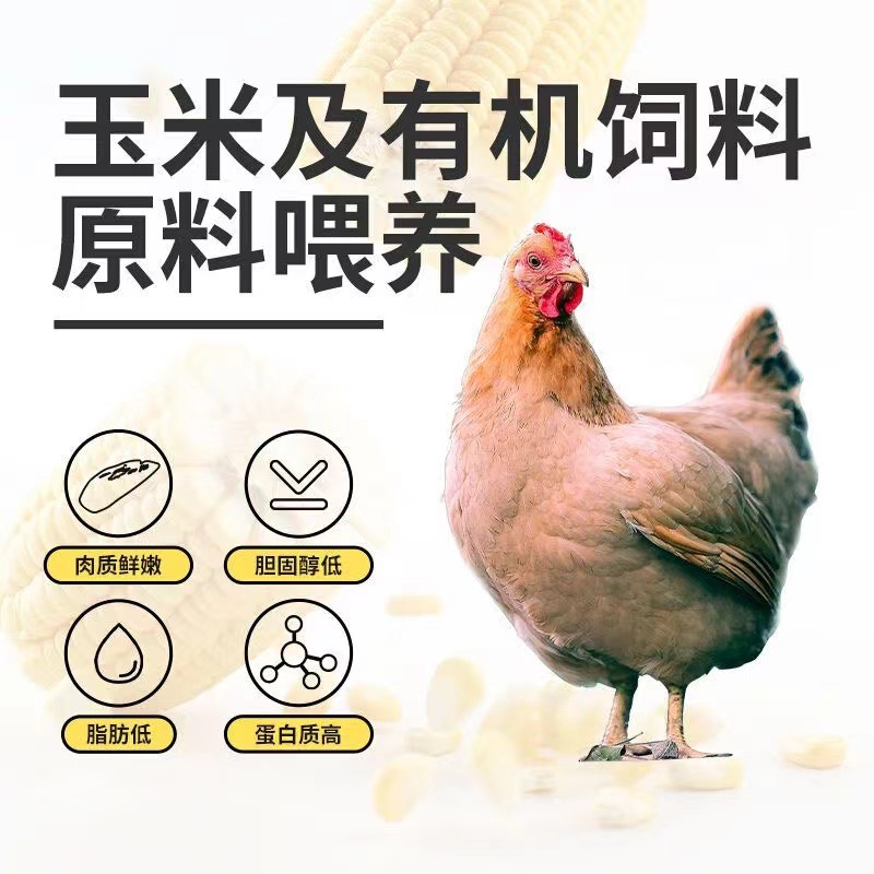 Mr. Kangaroo 92g Ready-To-Eat Chicken Breast High Protein Fitness Meal Replacement Independent Vacuum Packaging Casual Office Snacks