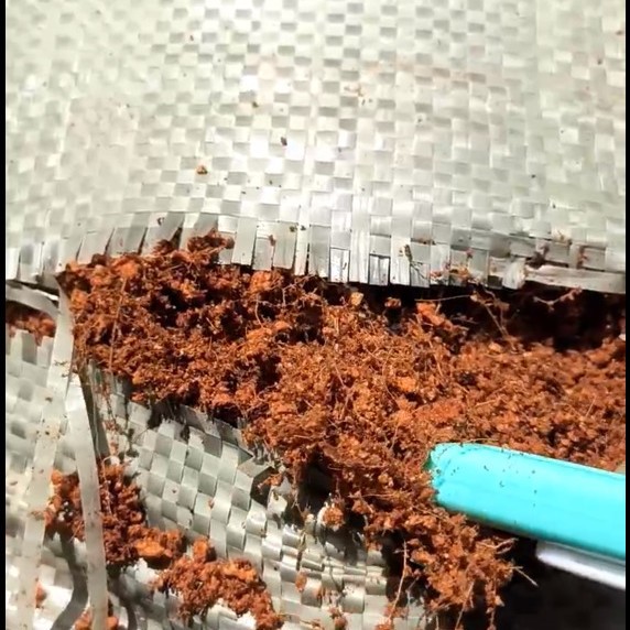 Coconut Coir Soil, Minimum Order Quantity of One Piece, Coconut Soil, Nutrient Soil, Growing Medium, Flower Cultivation, Vegetable Growing, Landscaping, Reptile Bedding, Green Plants