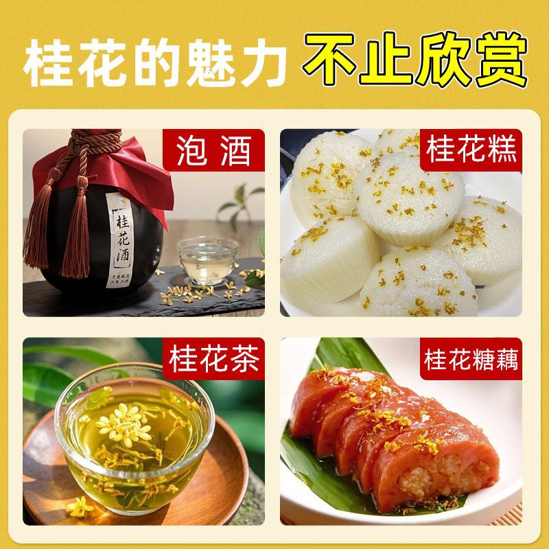 Osmanthus Saplings, Extra Large August Osmanthus, Golden Osmanthus, Greening Potted Plants, Courtyard Houses, Four-Season Osmanthus Plants, Four-Season Florals