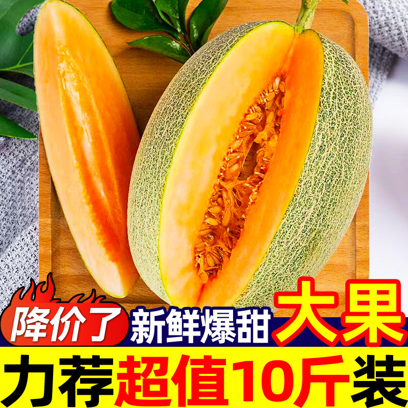 Authentic Xinjiang Turpan Hami Melon 5kg Xizhou Honey Net Melon Cantaloupe Fresh Seasonal Fruit