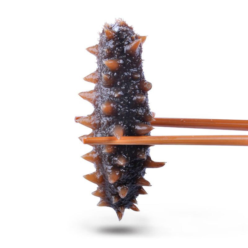 Sea Cucumber Manufacturer Wholesale Dalian Sea Cucumber Ready-To-Eat Chewy Texture Fresh Frozen Lock-In Freshness
