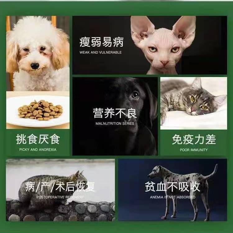 AD rehabilitation dog cat canned cat intestinal urinary postpartum postoperative facial makeup biological prescription cat food dog food canned wet food
