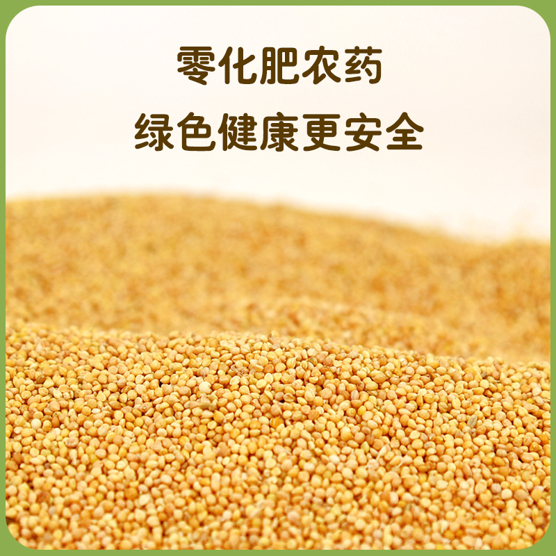 Bird food Bird food with Shell New yellow millet budgerigar Xuanfeng peony food feed with Shell millet parrot feed