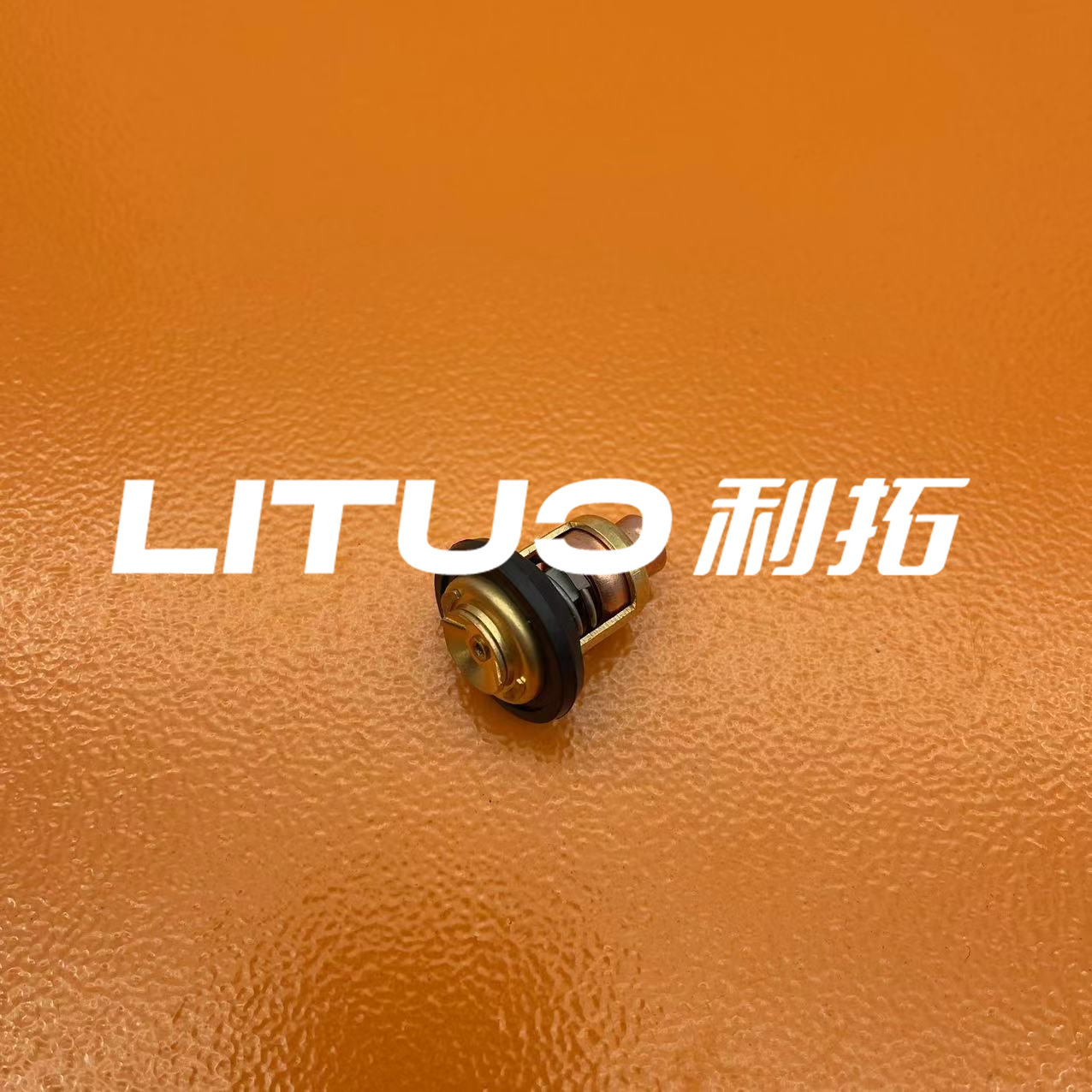 5005440 Thermostat Thermostat